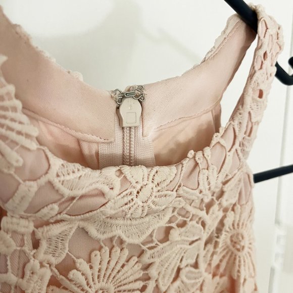 Lulu's - Love Poem Blush Pink Lace Mini Dress (M) - Picture 7 of 7